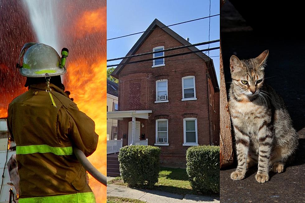 Policía: mujer de Hudson Valley prendió fuego a un gato que prendió fuego a su casa