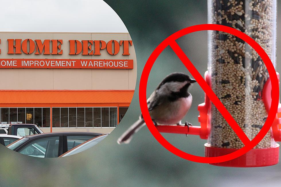 Why One Hudson Valley Home Depot is Refusing to Sell Birdseed