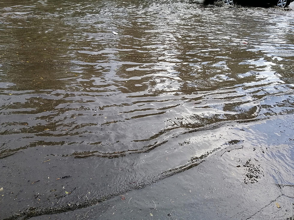 How Much Rain Did the Hudson Valley Get This Weekend? Is There More On the Way?