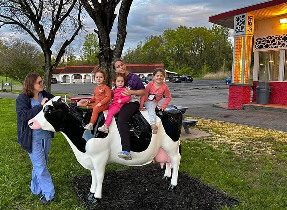 The Jolly Cow New Location Opens For Season in Ulster County
