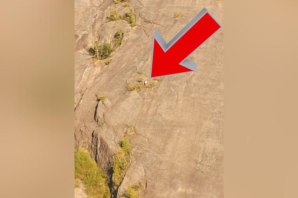 NY hiker stranded on mountain ledge for more than 6 hours