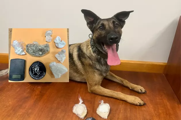 NYSP Drug Dog Kell Busts Two Chevy Malibus In One Day