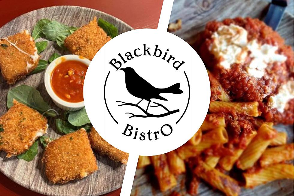 New Music Themed Blackbird Bistro Set For Opening in Wassaic, NY