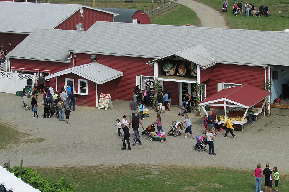 Barton Orchards: Rising From the Ashes