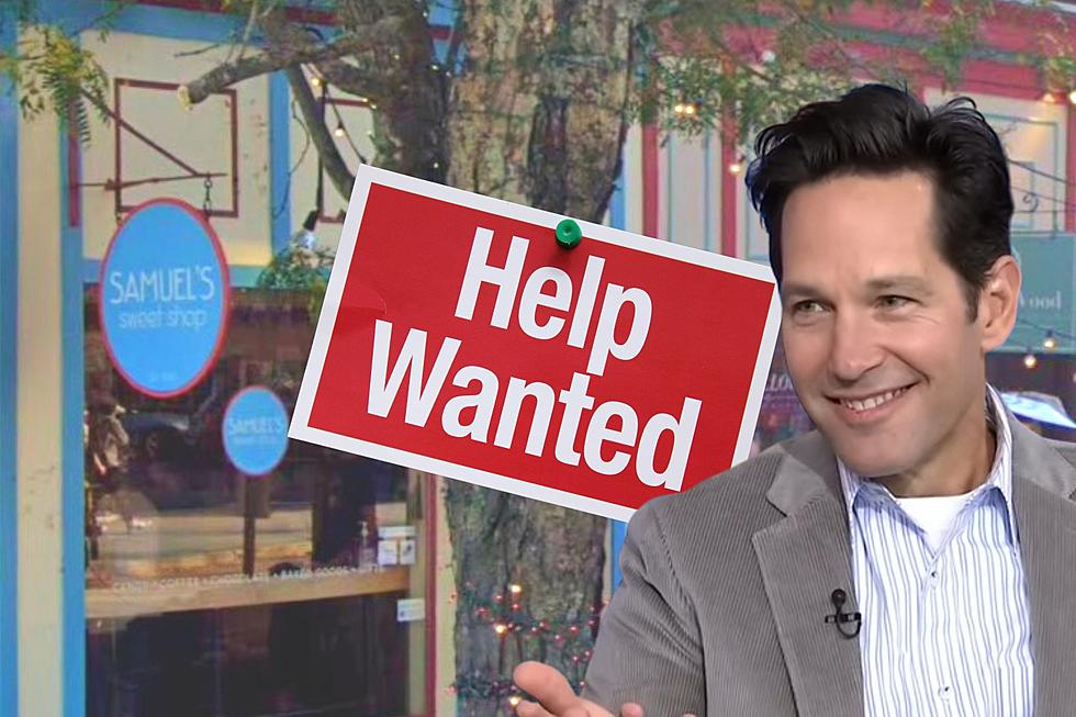 Paul Rudd Needs &#8216;Spectacular&#8217; People For His Hudson Valley Shop