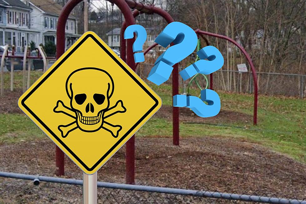 NY Governor Chimes in on &#8216;Toxic&#8217; Hudson Valley Playground