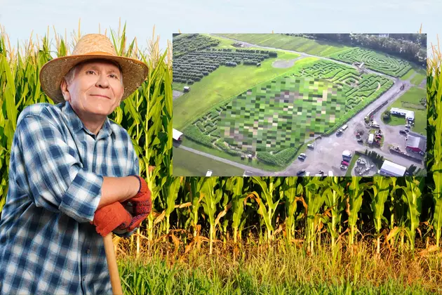 Impressive 2023 Corn Maze Design is &#8216;So Hudson Valley&#8217;