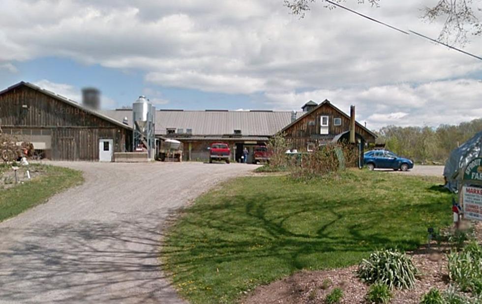 Former Sprout Creek Farm Announces it Will Reopen After 3 Years
