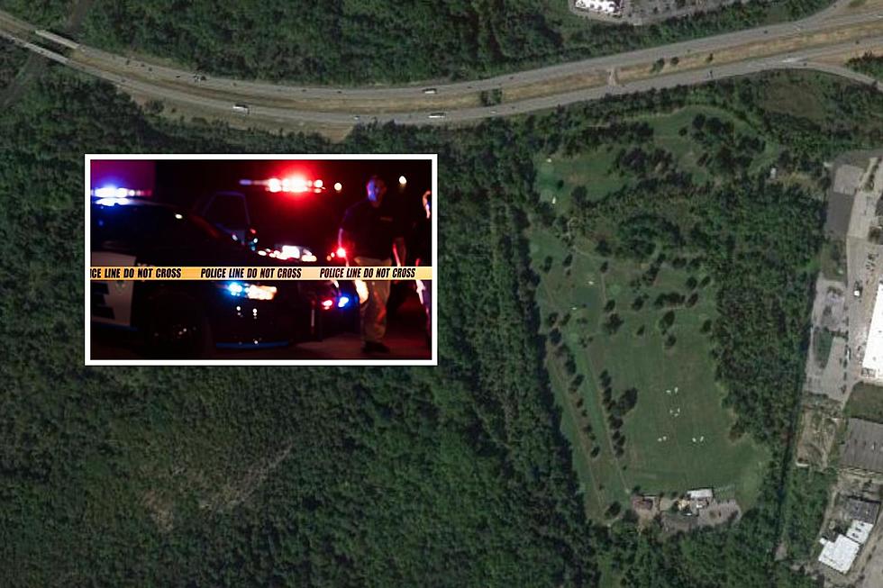 Dead Body Discovered in Wooded Area Off I-84; Police Seek Help