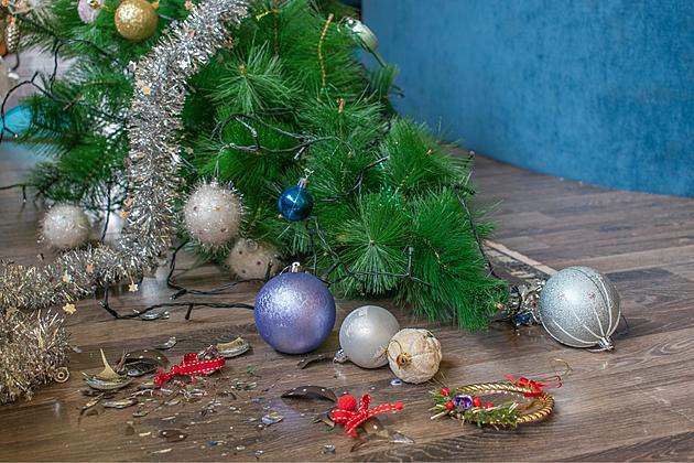Your Old Artificial Xmas Tree Could Earn You a Nice Reward