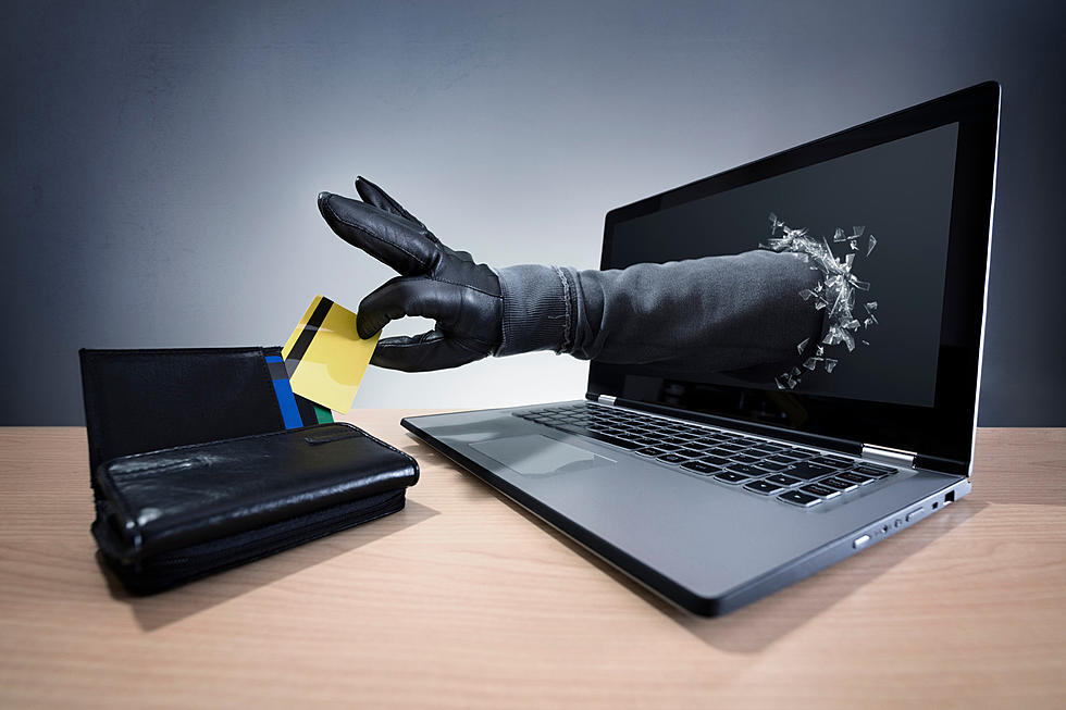 Just How Vulnerable Are Residents in NY State To Identity Theft?