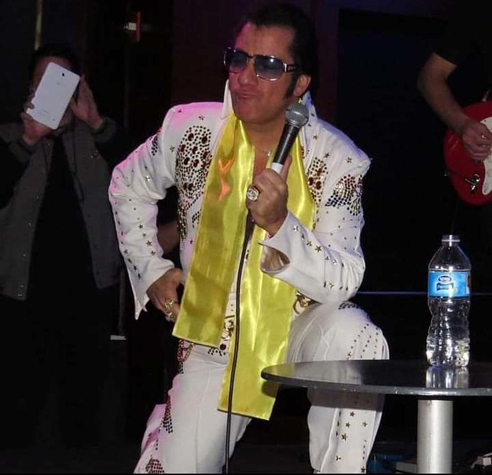Can You Help Elvis Get a Hudson Valley Gig?