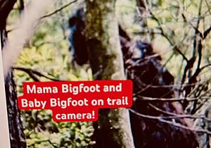 Tabloid Posts Pic of Bigfoot And Baby In Hudson Valley, But Is...