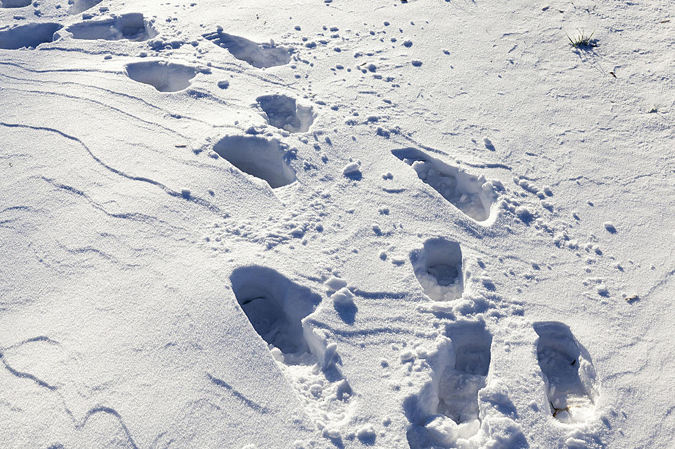 Police Bust New York State Man After They Followed His Footprints in the Snow
