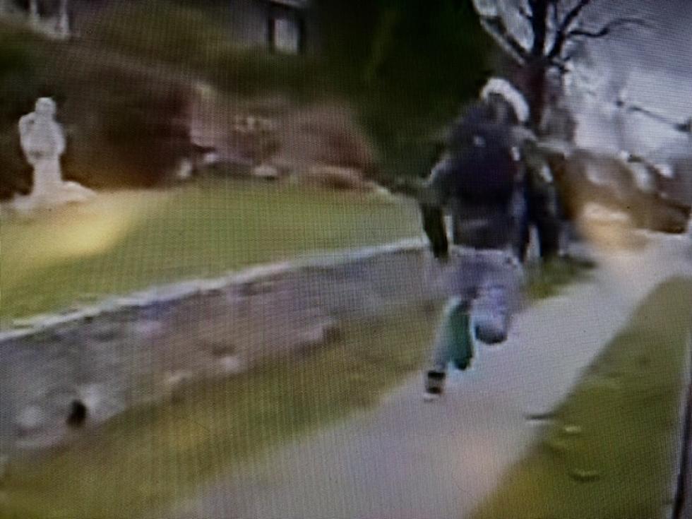 Lower Hudson Valley Porch Pirate Stopped By Good Samaritan