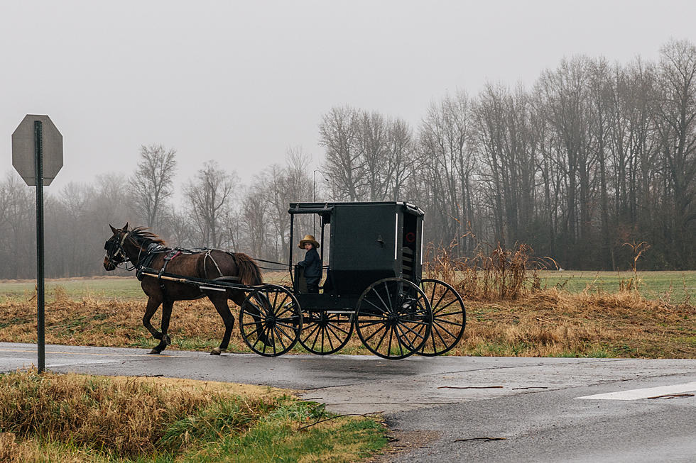 Truck Collides With Amish Horse and Buggy in New York State 
