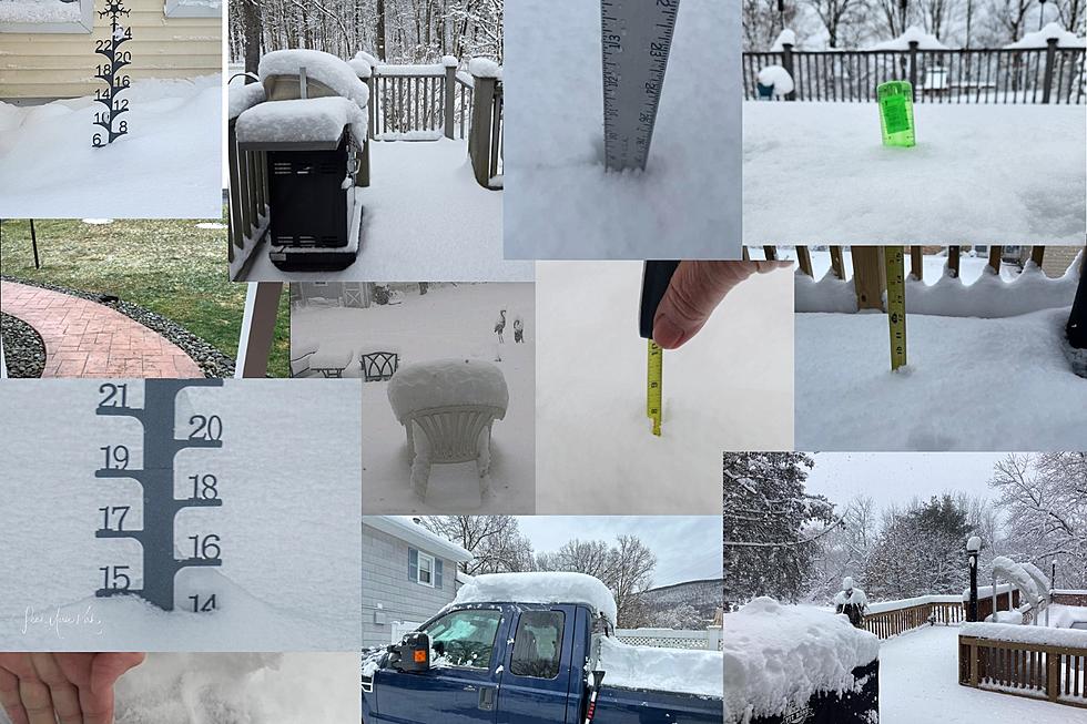 Reports from around the Hudson Valley show just how varied the snowfall totals were on Tuesday.