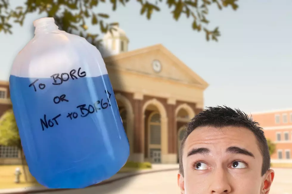 BORGs: How Dangerous is the Viral Drink Taking Over New York Campuses?