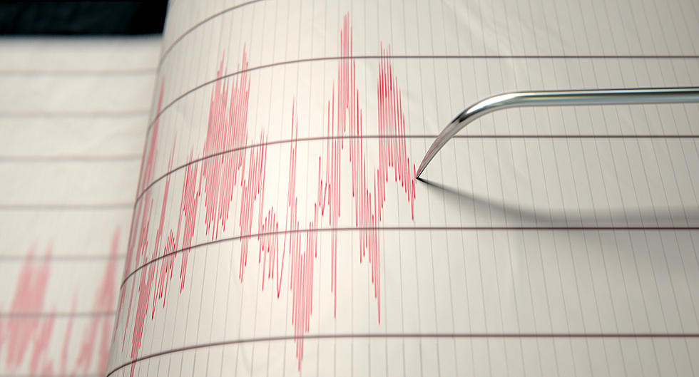 Small Earthquake Rattles Parts of New York State