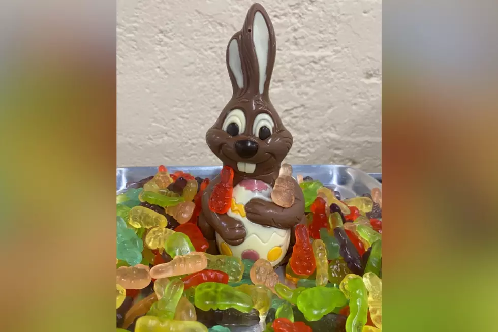 Warwick NY Chocolate