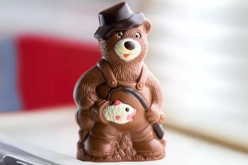 Warwick New York Chocolate