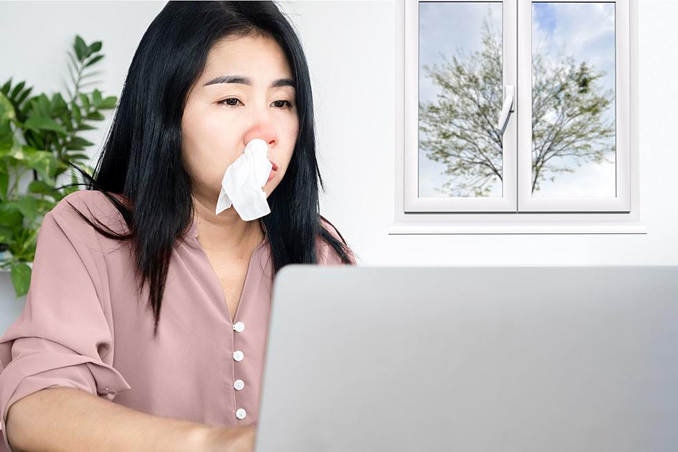 Allergy Season in New York ‘Longer and Stronger’ Than Usual