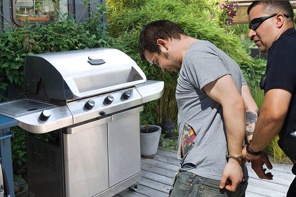 FACT CHECK: Are Gas Grills Really Being Outlawed in New York?