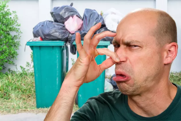 New Yorkers Never Clean This Gross Item But Experts Say You Must