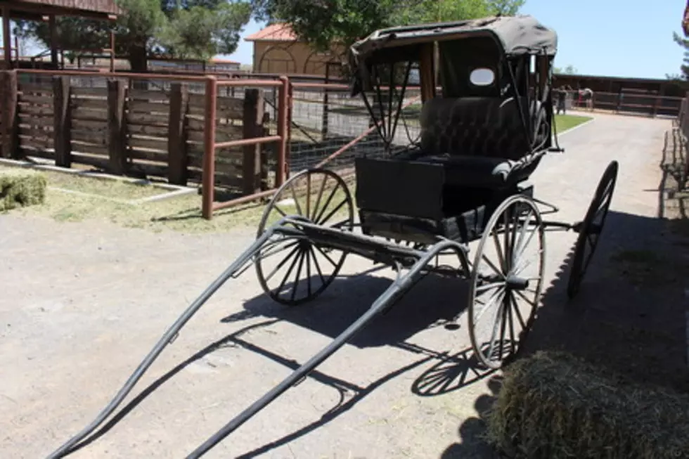 Several Hospitalized After Amish Buggy Crash in New York State