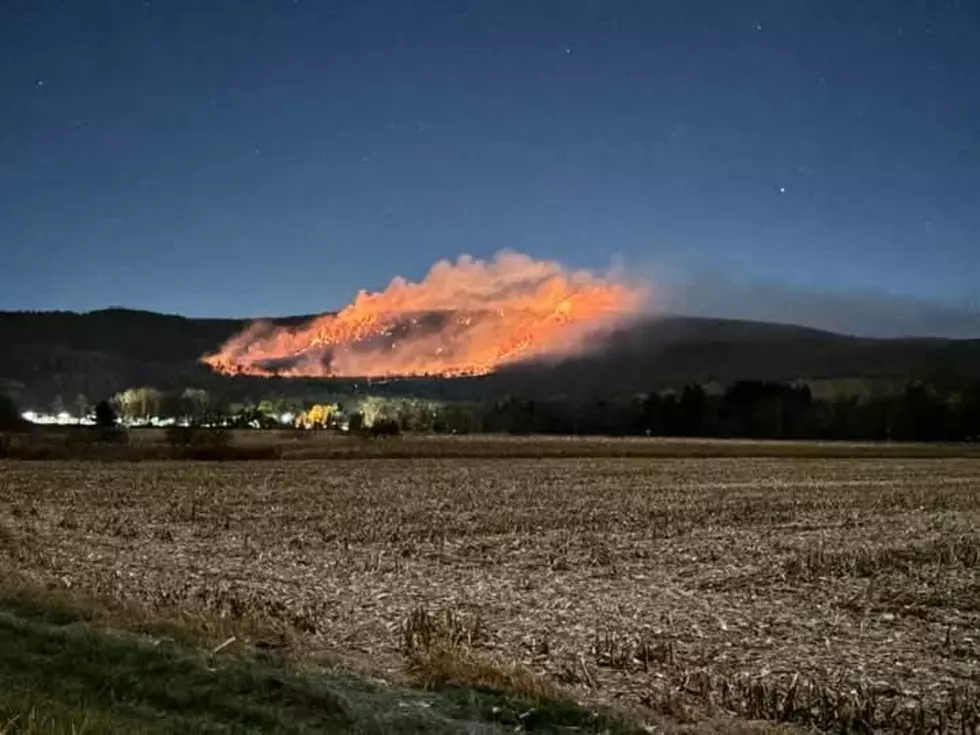 Brush Fire Rages On Near Butternut In Great Barrington, MA