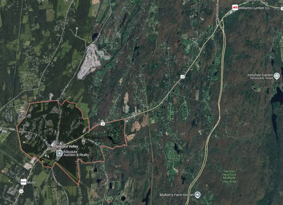 Google Maps