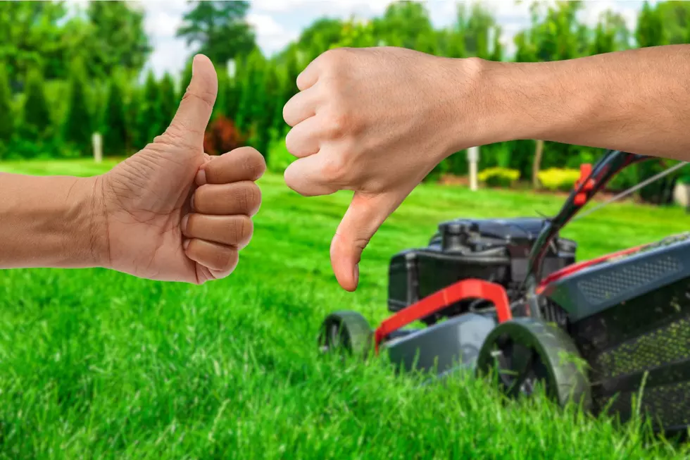 Why New Yorkers Should Mow Their Lawns Early This Year