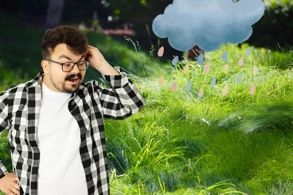 Mowing Tips For Out of Control New York Lawns After Weeks of Rain