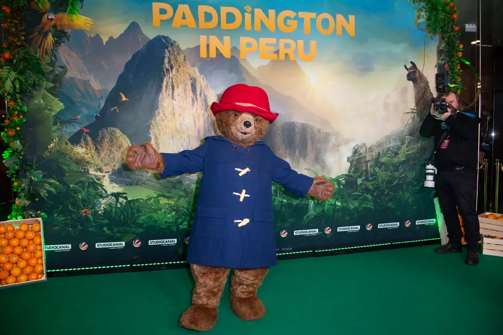 "Paddington In Peru" Premiere In Berlin