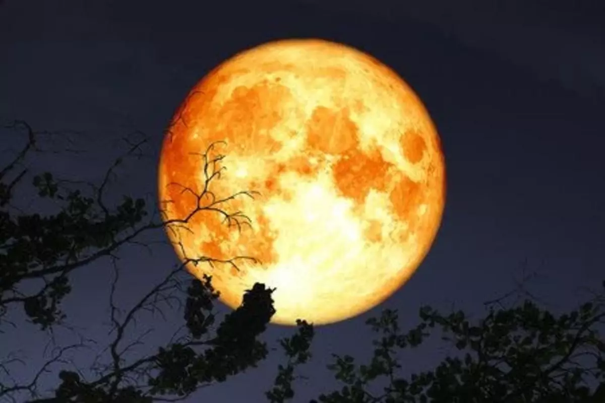 Closest Supermoon to Earth Arrives Soon Above New York State