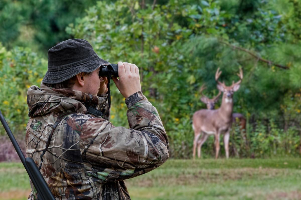 Biggest Changes in Years Now Required For New York Hunters