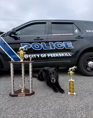 Meet The K9 Champion Who’s Making Headlines In Peekskill