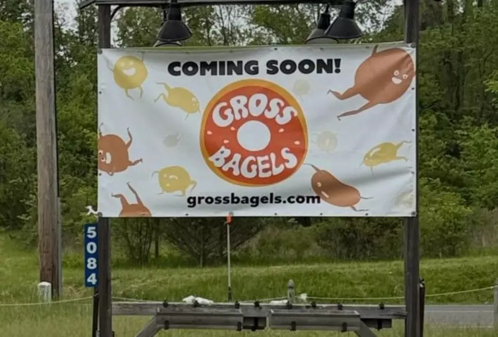 Hudson Valley German Restaurant to Become ‘Gross’ Bagel Shop