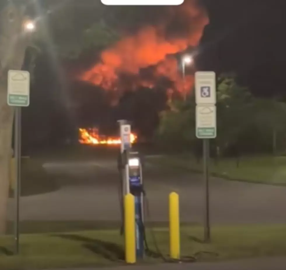 Saratoga Harness Track Barn Fire Kills 17 Horses