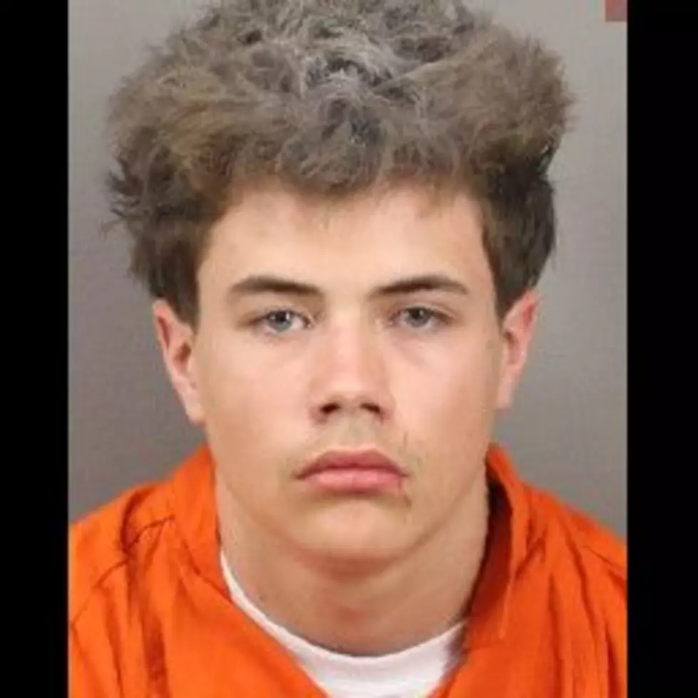Mark Wanchik II/Saugerties Police Department
