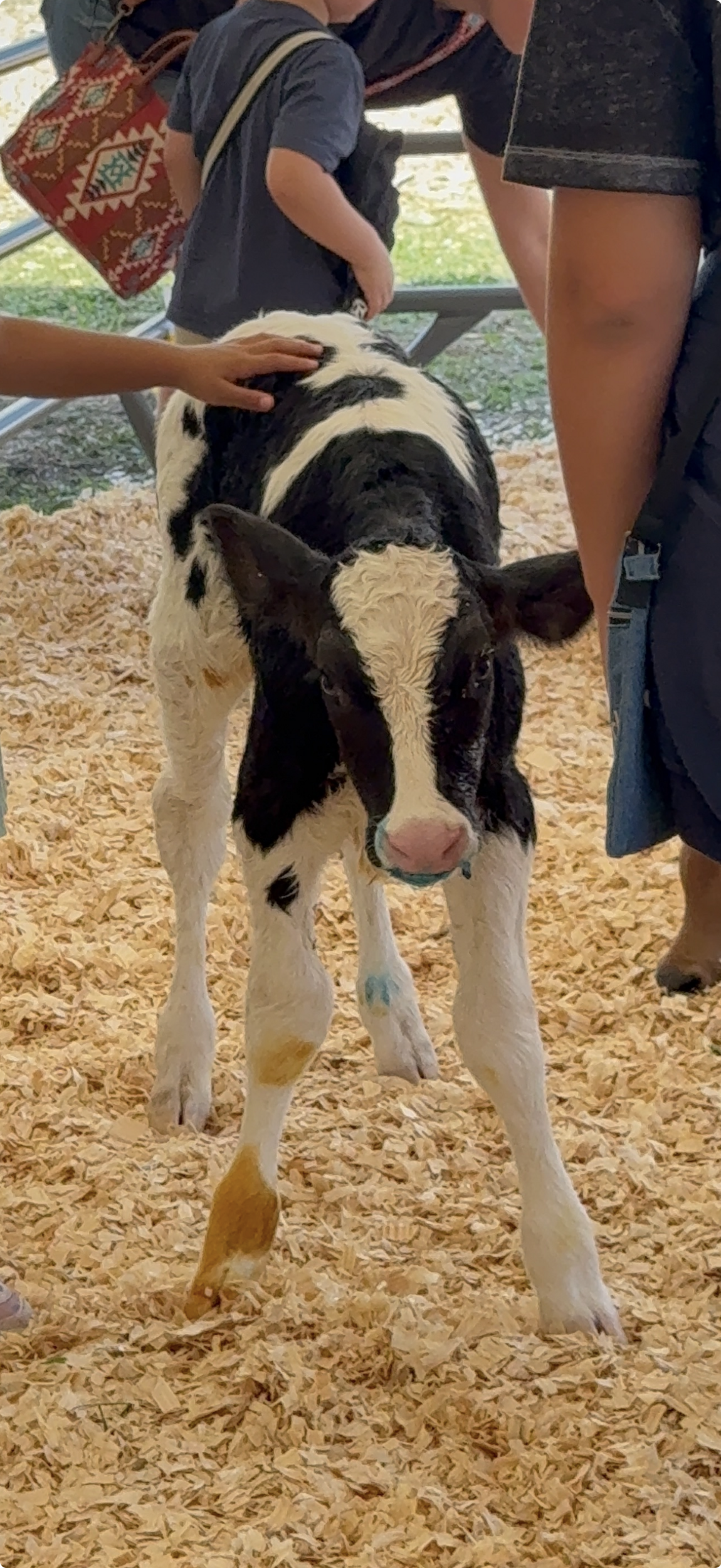 Pulp Fiction Star Spotted at the Dutchess County Fair