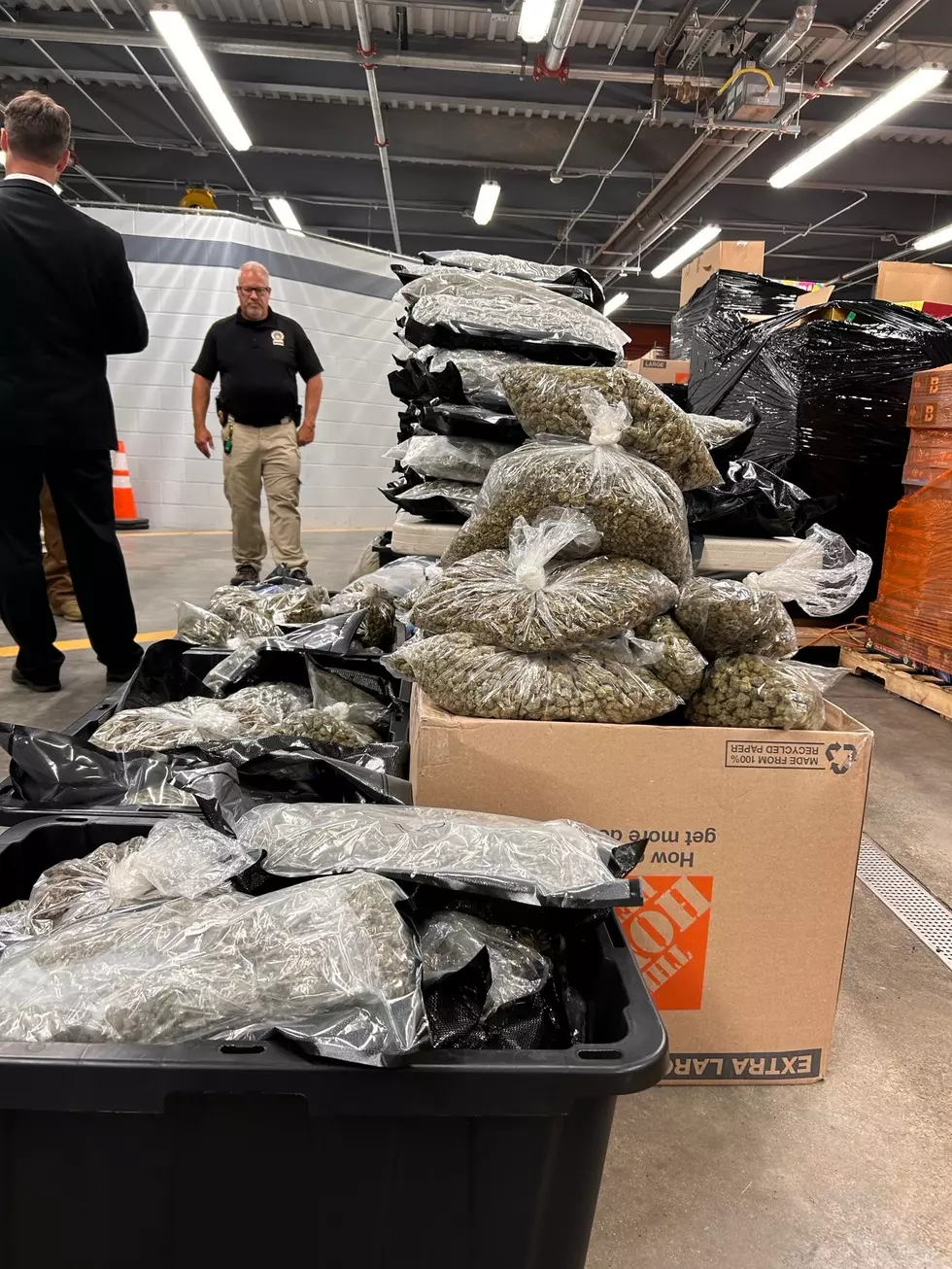 $17 Million Cannabis Bust Largest in New York OCM History