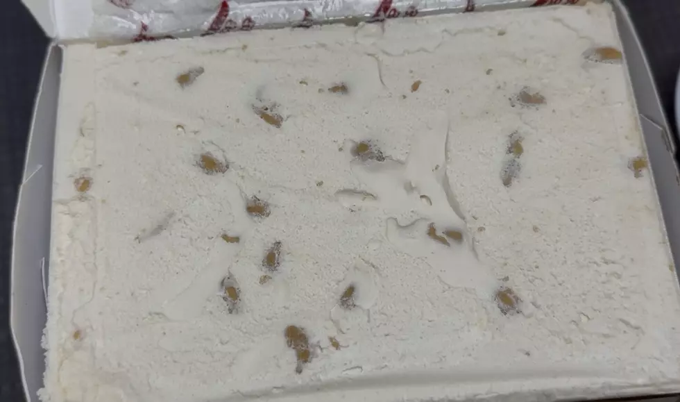 Peanut Butter Cookie Ice Cream/Jana