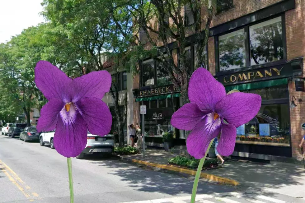 Rhinebeck’s Long-Lost Claim to Fame Unknown to Most Fair Visitors