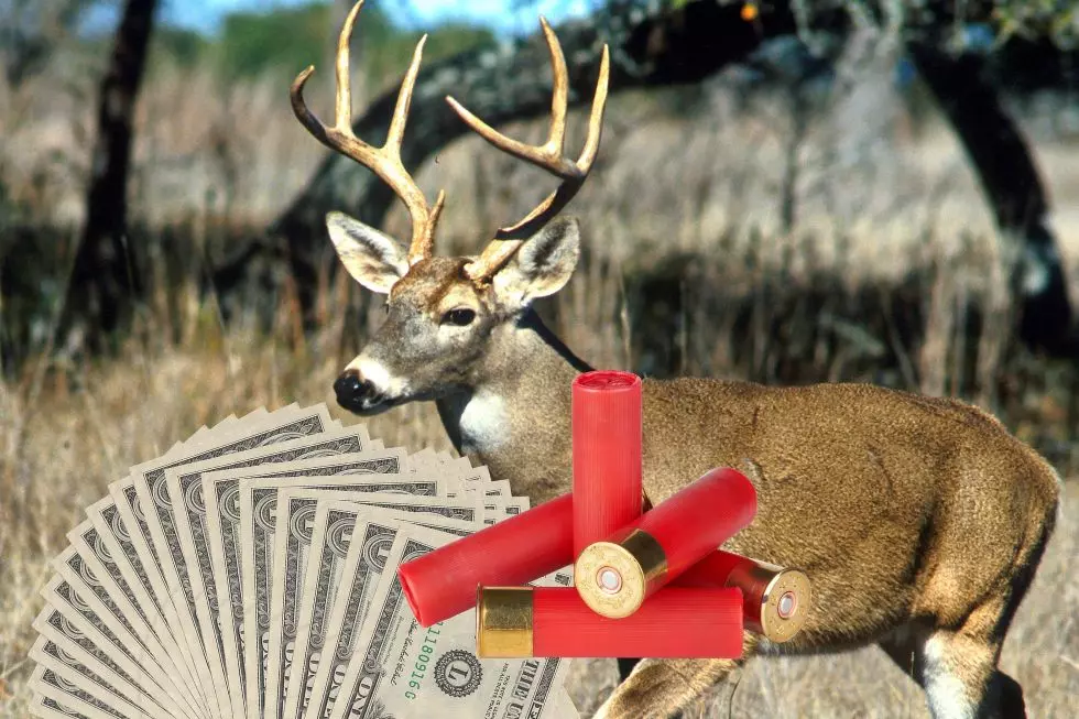 New York Hunters Can Earn a Hefty Rebate This Season