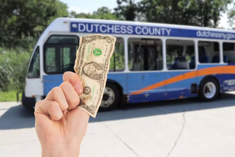 Would You Pay $1 For Your Own Loop Bus?