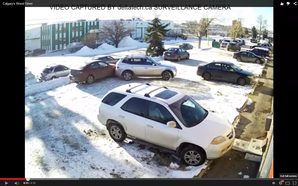 See the Worst Driver EVER (VIDEO)