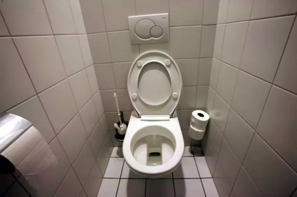 An Office Worker Was About to Use the Toilet When This POPPED OUT! (PICTURES)