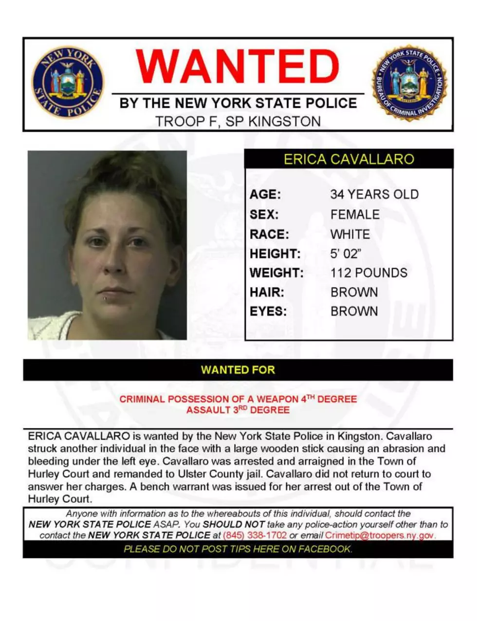 Warrant Wednesday: Ulster County Woman Wanted for Criminal Possession of a Weapon and Assault