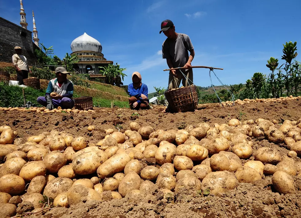 A Guy in Texas Makes $10,000 a Month Mailing Potatoes
